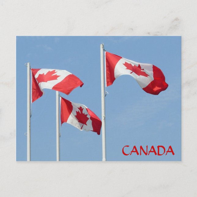 Cartes postales du drapeau du Canada Cartes postal (Devant)