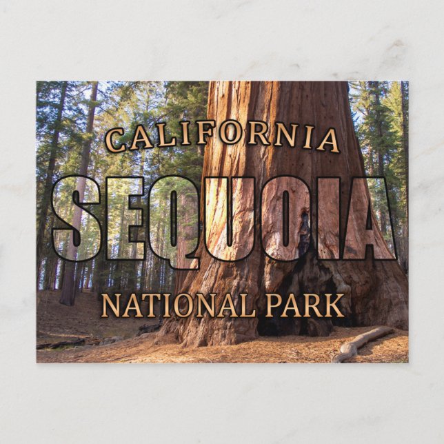 Cartes postales du parc national de Sequoia (Devant)