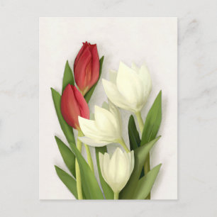 Cartes postales florales de tulipes rouges et blan