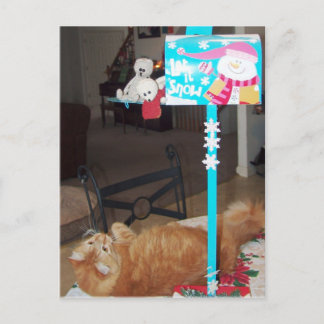 Cartes postales Fransciy et Lennart