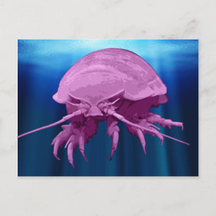 Cartes postales Giant Isopod