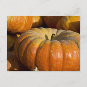 Cartes postales:  Grand Citrouille