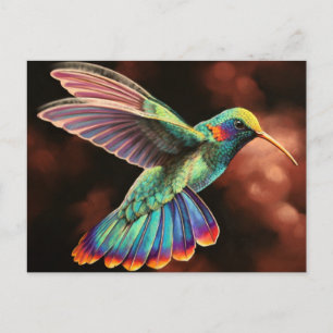 Cartes postales Humminbird 2