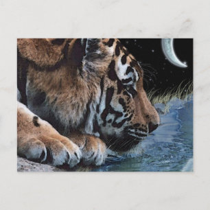 Cartes postales Imaginaire Tiger et Lune