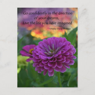 Cartes postales inspirantes en gros discount Zinni