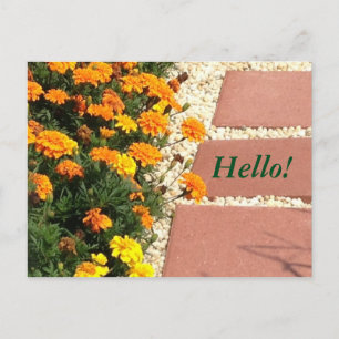 Cartes postales Jaune Orange Marigold Fleurs