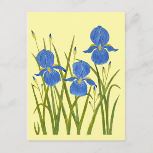 Cartes postales jaunes Iris bleus