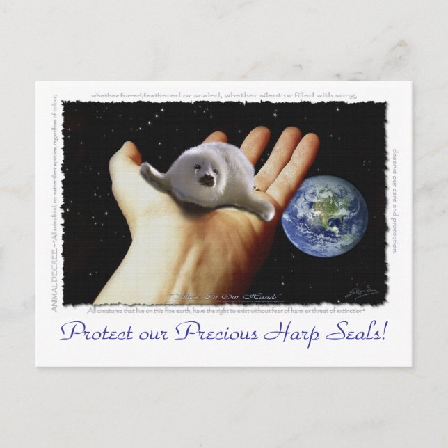 CARTES postales Jour des terres HARP SEAL (Devant)