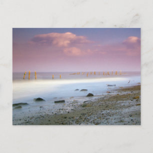 Cartes postales "La Côte Norfolk"