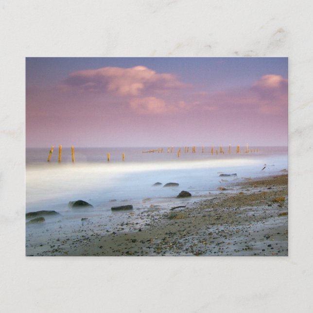 Cartes postales "La Côte Norfolk" (Devant)