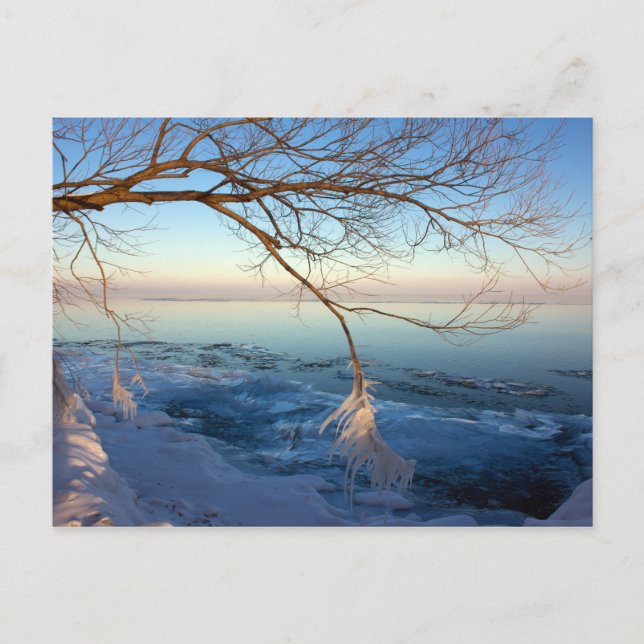Cartes postales, Lac Ontario, Froid glacé. (Devant)