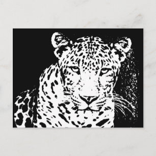 Cartes Postales Leopard Black Et White Portrait