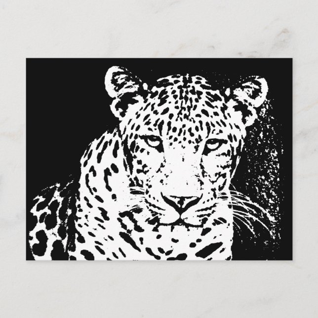 Cartes Postales Leopard Black Et White Portrait (Devant)