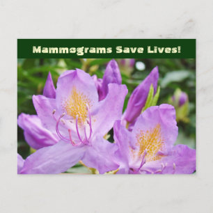 Cartes postales Mammogrammes Sauvent des vies ! Fl
