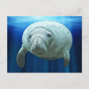 Cartes postales Manatee