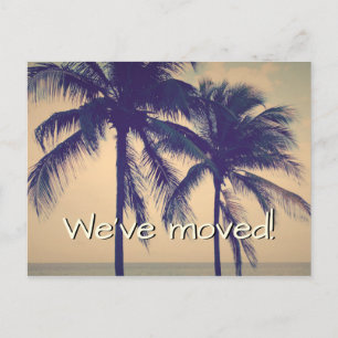 Cartes postales mobiles de photo de palmier pour
