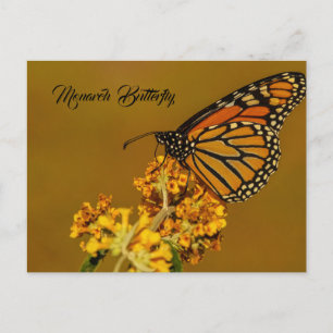 Cartes postales Monarch Butterfly