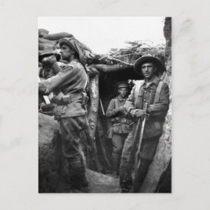 Cartes postales montrant des Diggers à Gallipoli