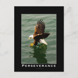 Cartes postales motivantes pour l'aigle chauve