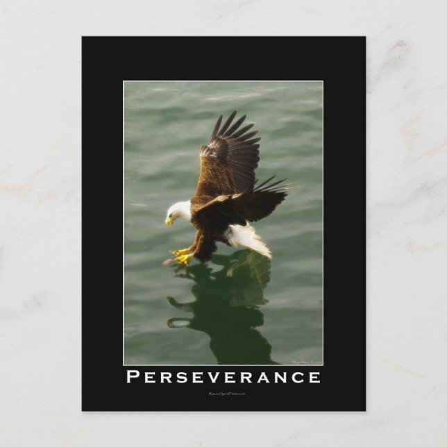 Cartes postales motivantes pour l'aigle chauve (Devant)