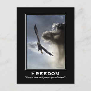 Cartes postales motivantes pour l'aigle chauve