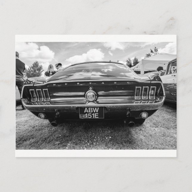Cartes postales "Mustang classique" (Devant)