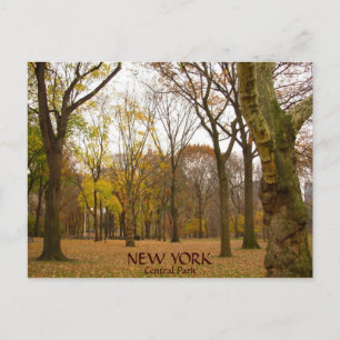 Cartes postales New York Cartes postales NYC Centr