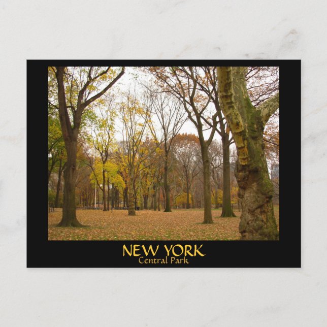 Cartes postales New York Cartes postales NYC Centr (Devant)