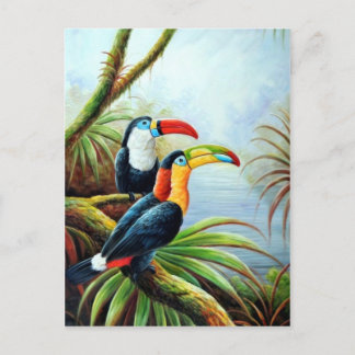 cartes postales oiseaux magnifiques 02