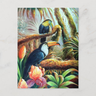 cartes postales oiseaux magnifiques 04