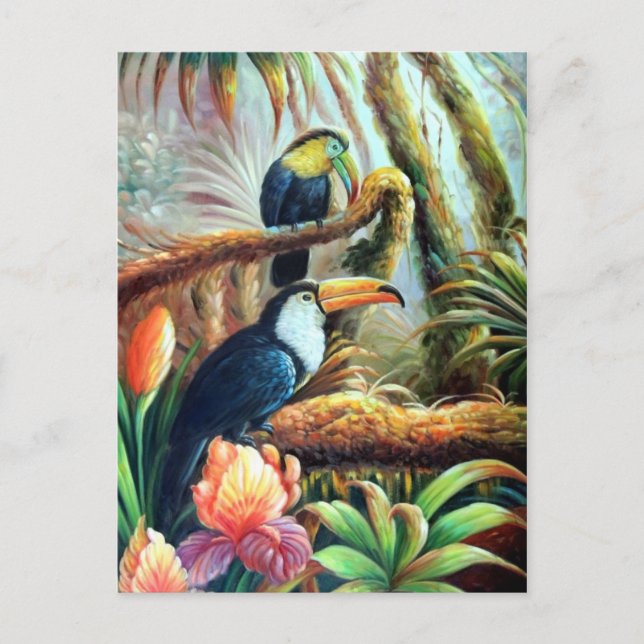 cartes postales oiseaux magnifiques 04 (Devant)