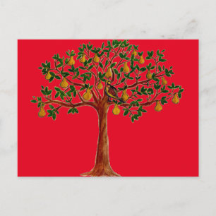 Cartes postales Partridge 2 in a Pear Tree