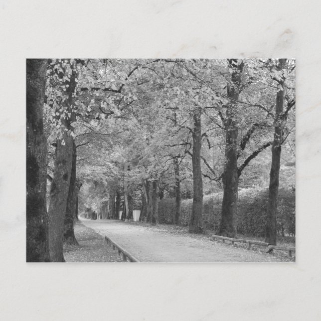 Cartes postales personnalisées "Archway" (Devant)