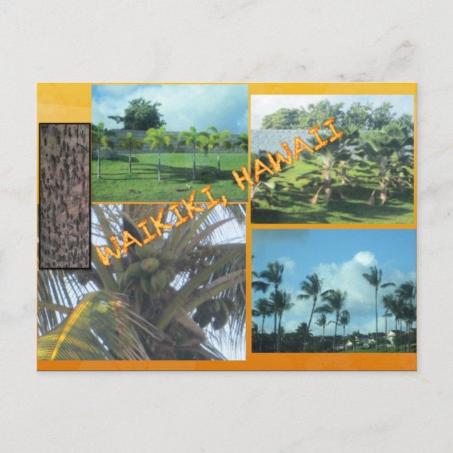 CARTES POSTALES PERSONNALISÉES - COLLAGE HAWAI# 9 (Devant)