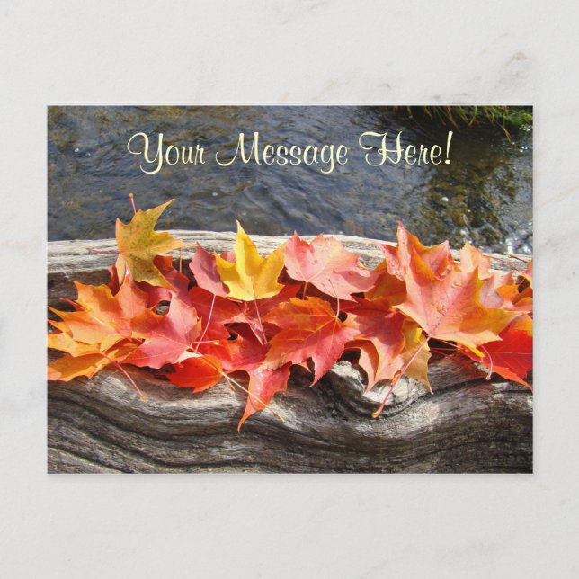 Cartes postales personnalisées Feuilles d'automne  (Devant)