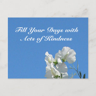 Cartes postales Petits pois de la gentillesse