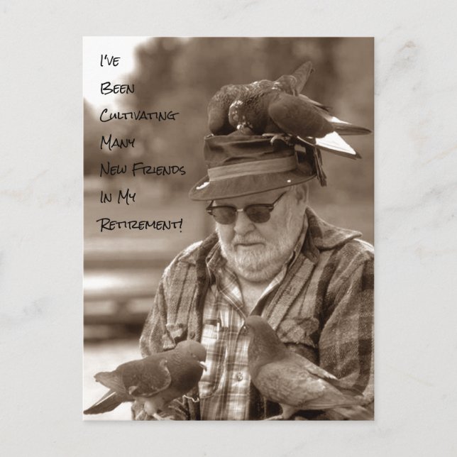 Cartes postales pigeons oiseaux Retraite Humour dr (Devant)