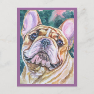 Cartes postales pour Bulldog