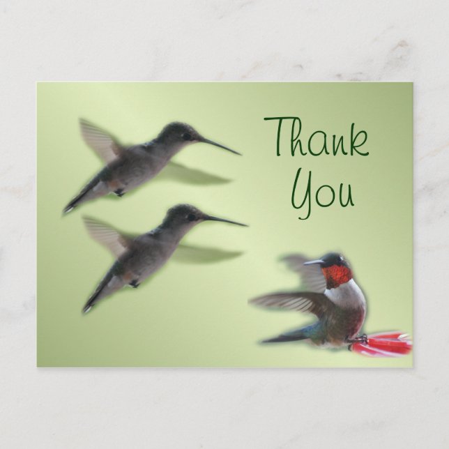 Cartes Postales pour Colibris Merci ou toute occas (Devant)