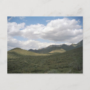Cartes postales pour la photo du désert de Cowboy 