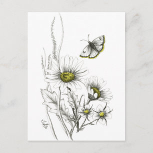 Cartes postales pour marguerites et papillons