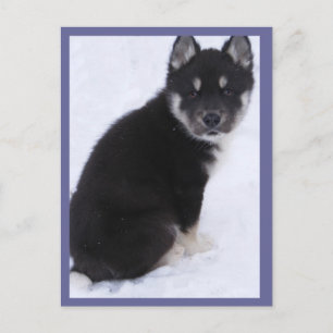 Cartes postales pour marionnettes #4