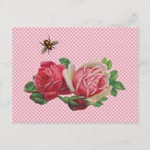 Cartes postales Roses de Shabby