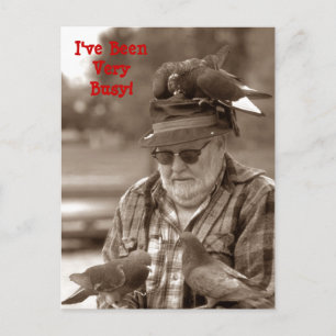 Cartes postales Salutations fun pigeons oiseaux su