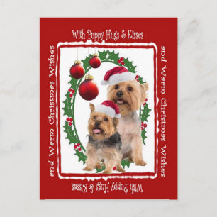 Cartes postales Silky Terrier pour Noël