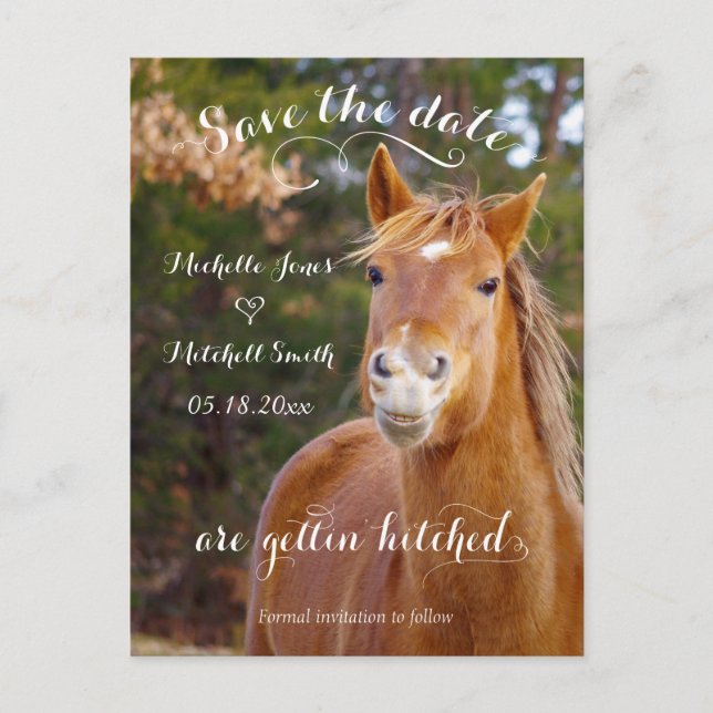 Cartes postales "Smiling Horse" pour annoncer la d (Devant)