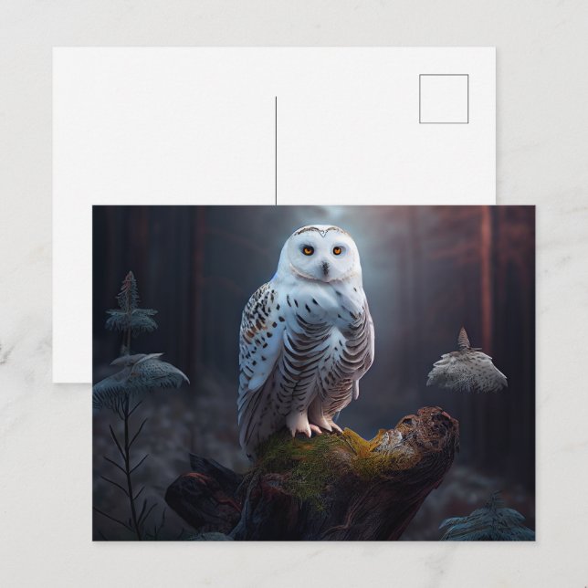 Cartes Postales snowy owl (Devant / Derrière)
