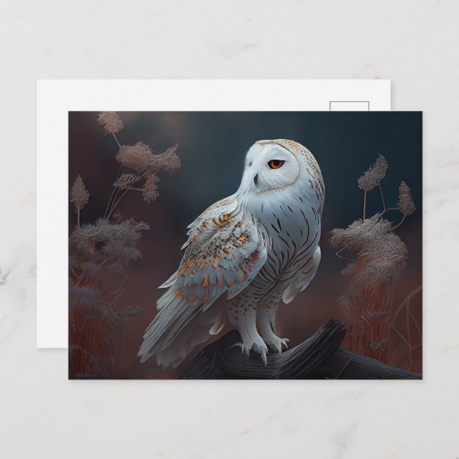 Cartes Postales snowy owl (Devant / Derrière)