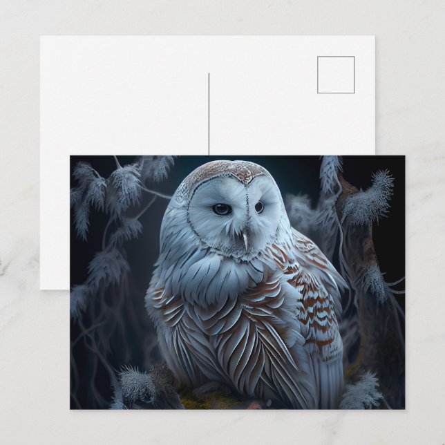 Cartes Postales snowy owl (Devant / Derrière)