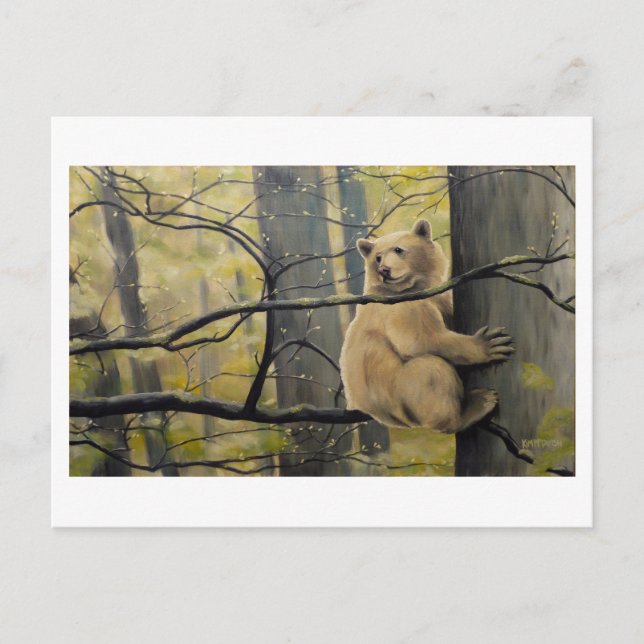 Cartes postales Spirit Bear Kermode Bear Cartes po (Devant)